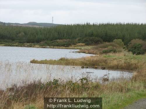 Carrownabanny Lough - Ladies Brae, Ladies Bray, Ox Mountains